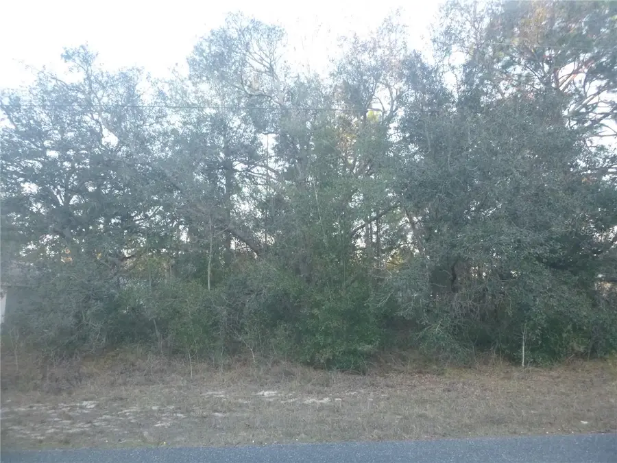 8253 N Krouse Way, Dunnellon, FL 34433 - Image #2