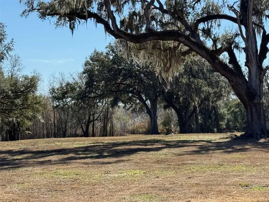 37214 Hester Road, Dade City, FL 33525 - Image #3