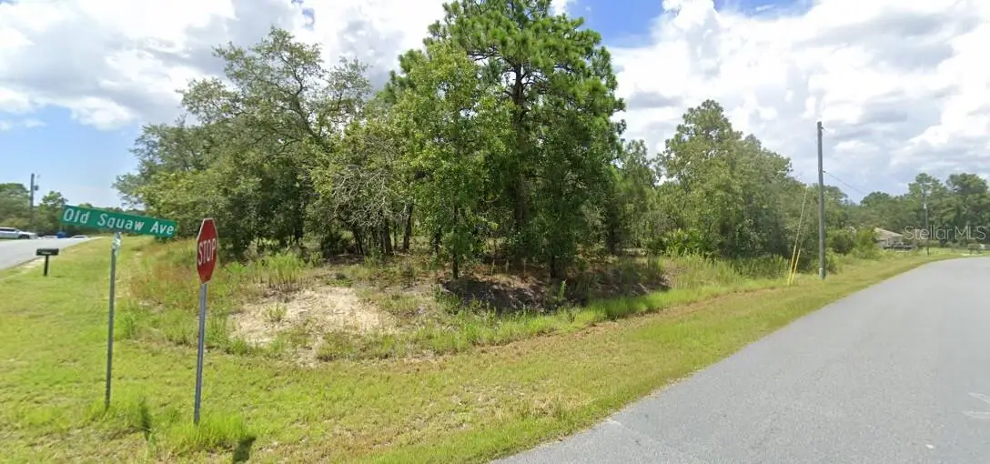 00 Old Squaw Avenue, Weeki Wachee, FL 34614 - Image #1