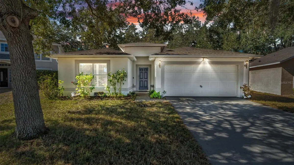 30244 Birdhouse Drive, Wesley Chapel, FL 33545 - Image #1
