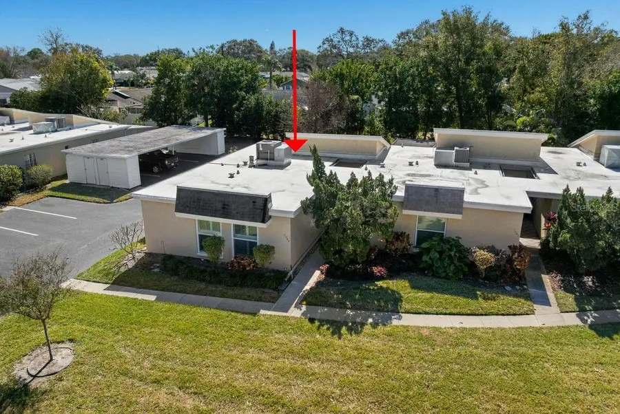 1599 Amberlea Drive S, Dunedin, FL 34698 - Image #3