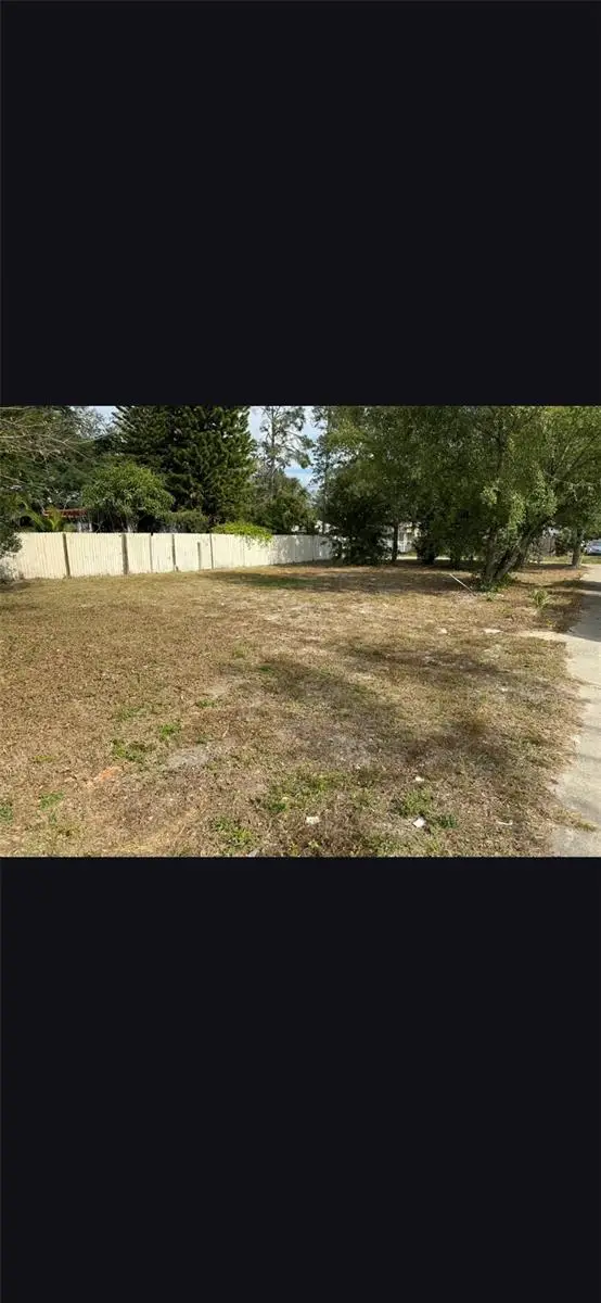 1014 E Sitka Street, Tampa, FL 33604 - #1