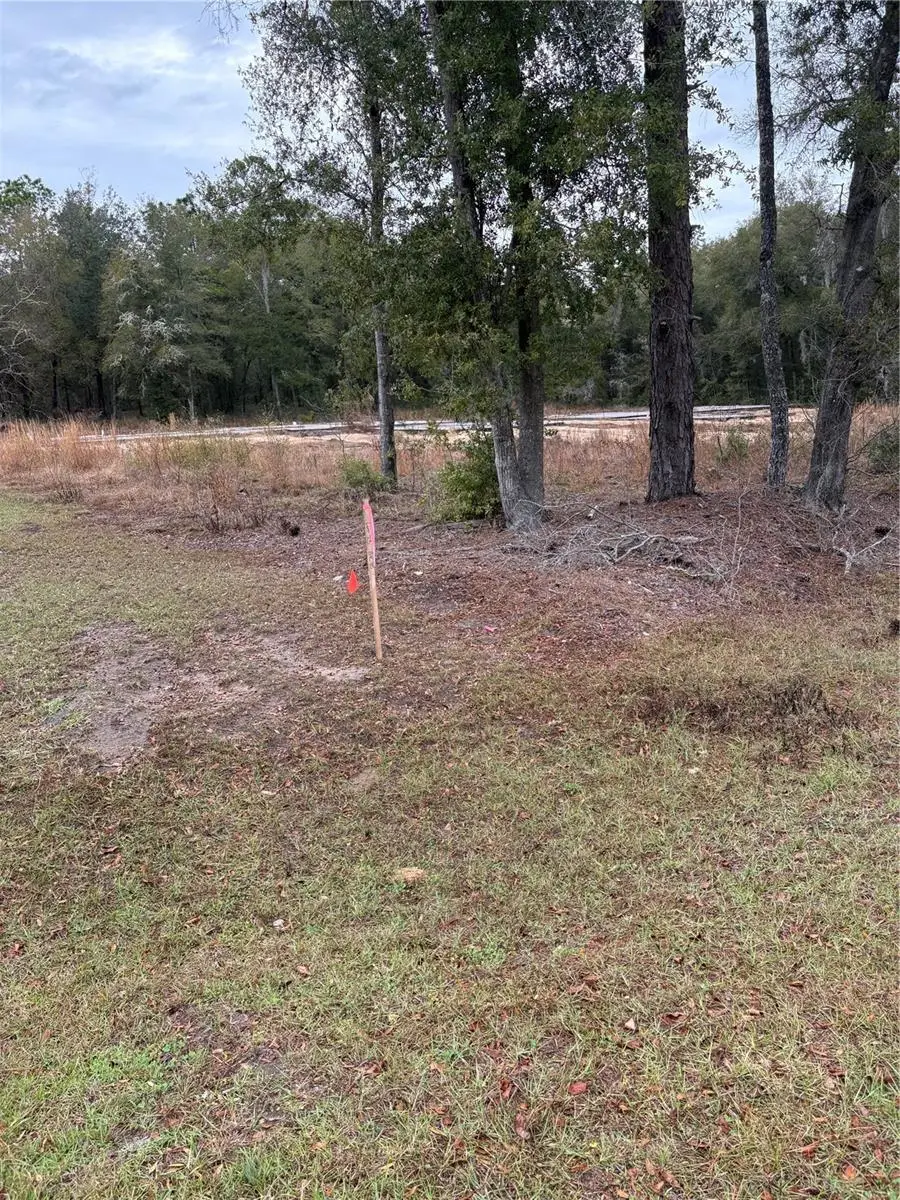 Sw 202nd Ct &sw 63rd Pl, Ocala, FL 34471 - Image #1