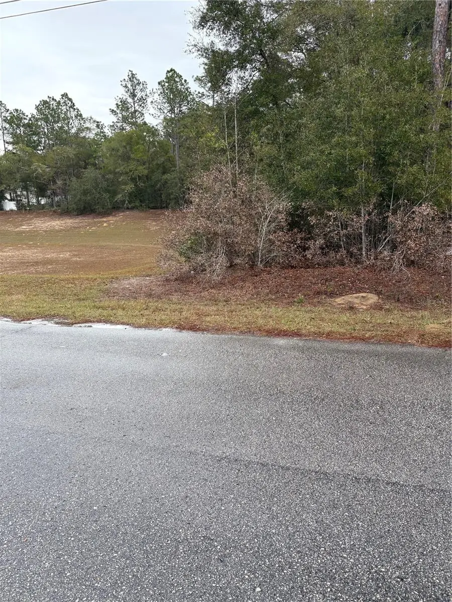 Sw 202nd Ct &sw 63rd Pl, Ocala, FL 34471 - Image #2