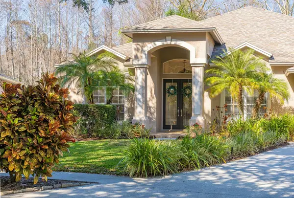 19321 Wind Dancer Street, LUTZ, FL 33558