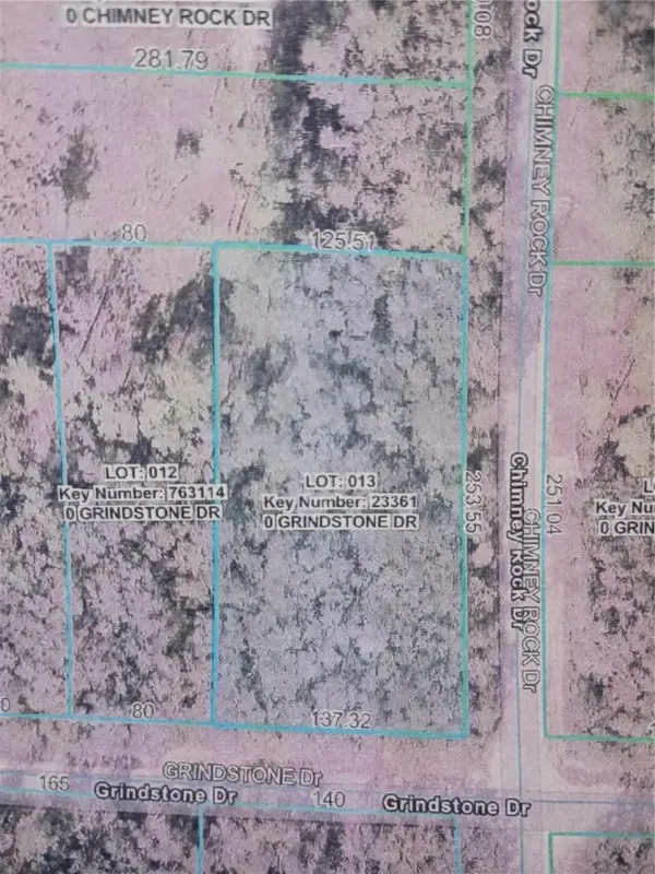 Grindstone Drive, WEBSTER, FL 33597