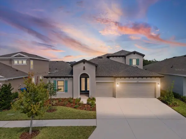 6092 Hidden Br Drive, APOLLO BEACH, FL 33572