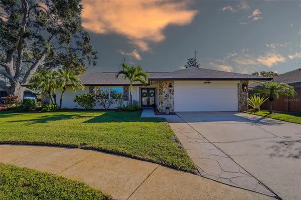 10099 Linden Place Drive, SEMINOLE, FL 33776