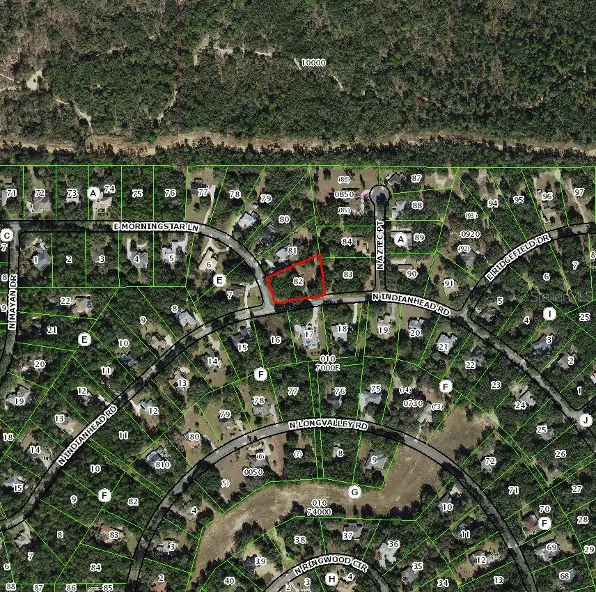 1085 E Morningstar Lane, Hernando, FL 34442 - #1