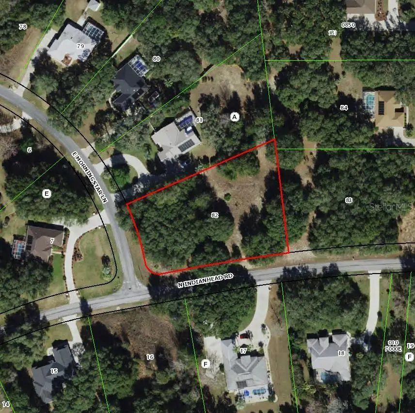 1085 E Morningstar Lane, Hernando, FL 34442 - #3