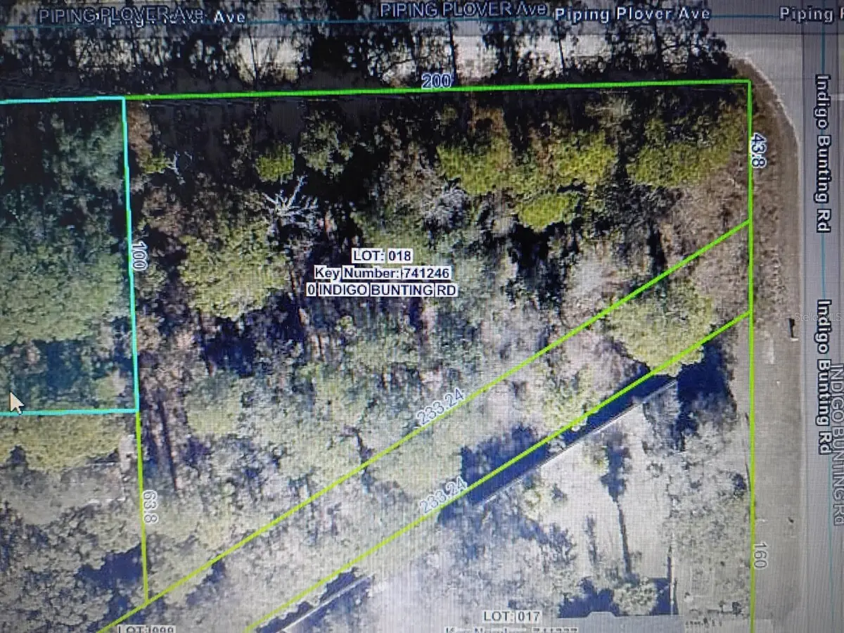 12449 Indigo Bunting, Weeki Wachee, FL 34614 - Image #1
