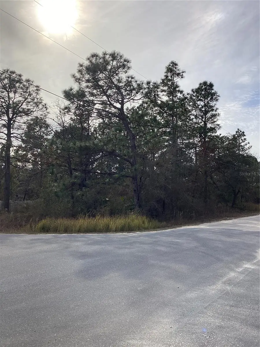 12449 Indigo Bunting, Weeki Wachee, FL 34614 - Image #3