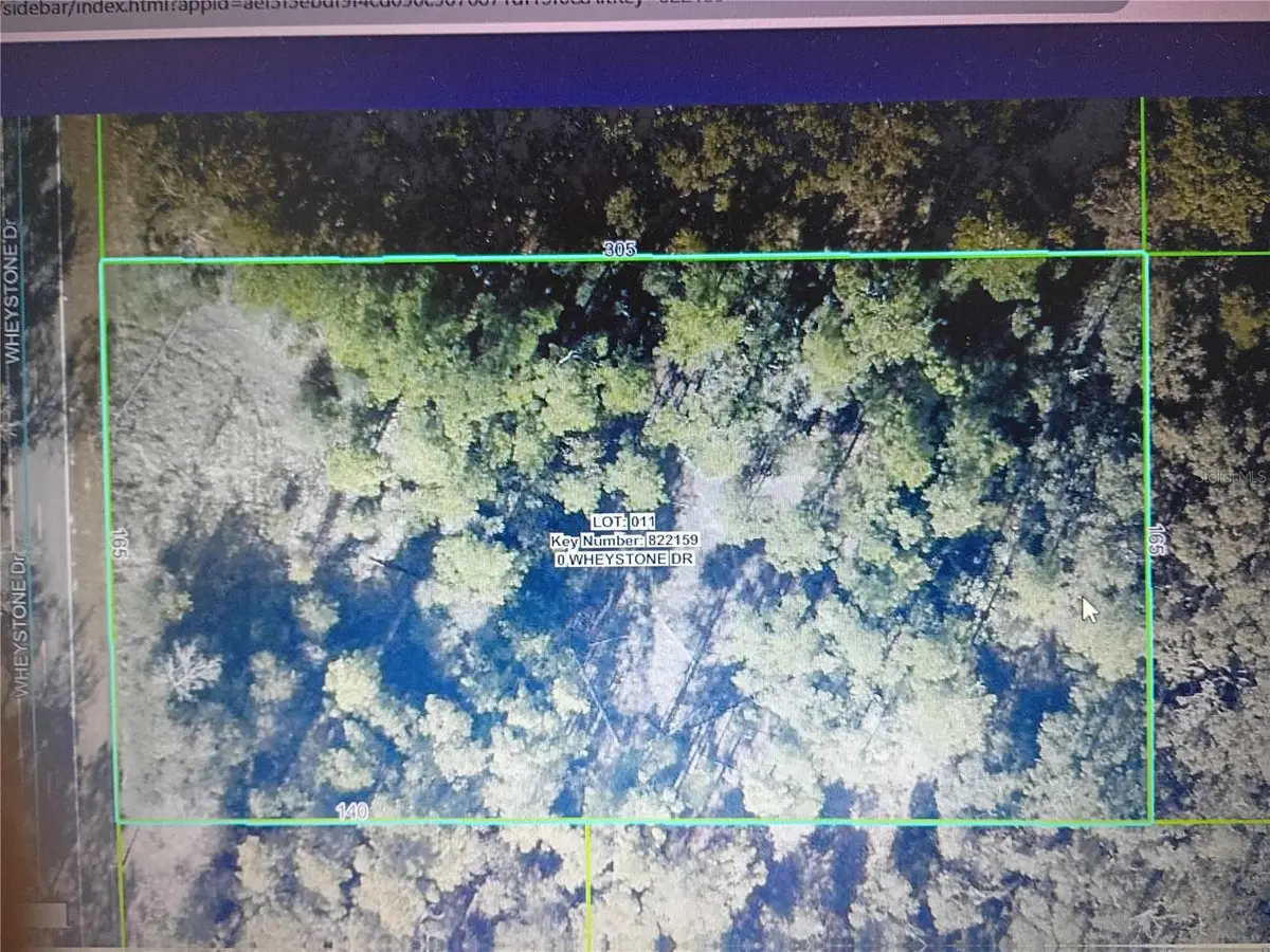 Wheystone Drive, Webster, FL 33597 - Image #1