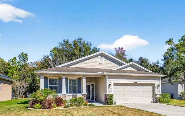 808 Bronze Bush Court, PLANT CITY, FL 33566