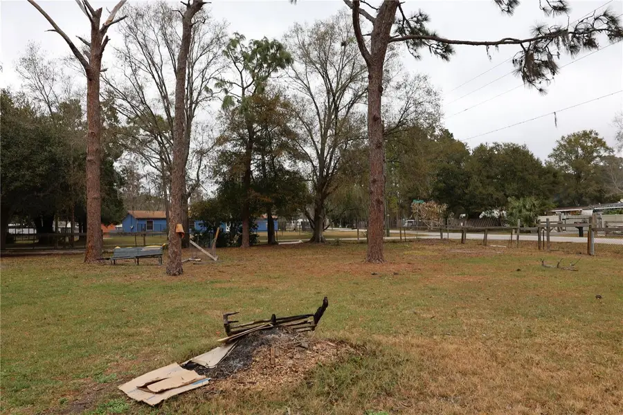 1133 Live Oak Lane, Lutz, FL 33549 - Image #3