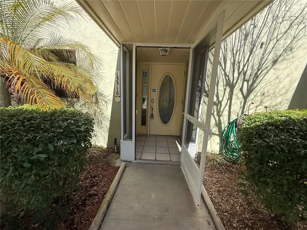 13516 Palmwood Lane, TAMPA, FL 33618