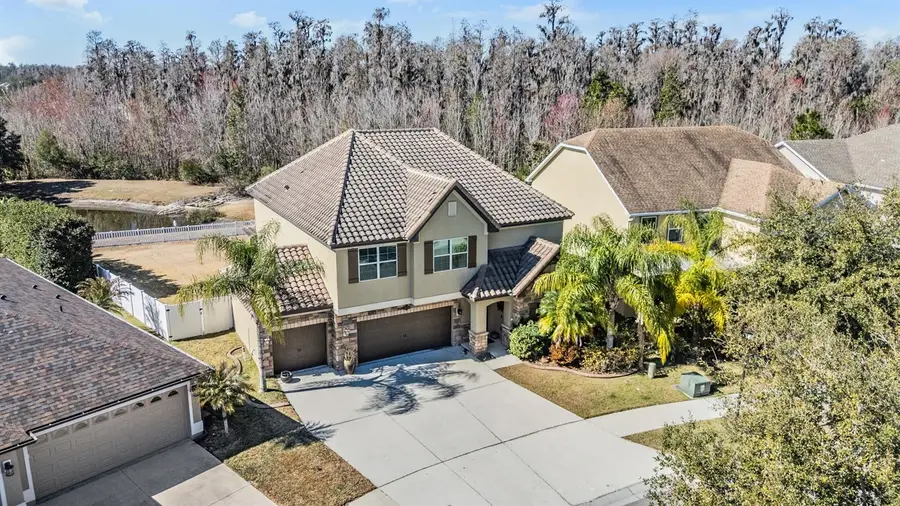 19230 Pepper Grass Drive, Tampa, FL 33647 - Image #2