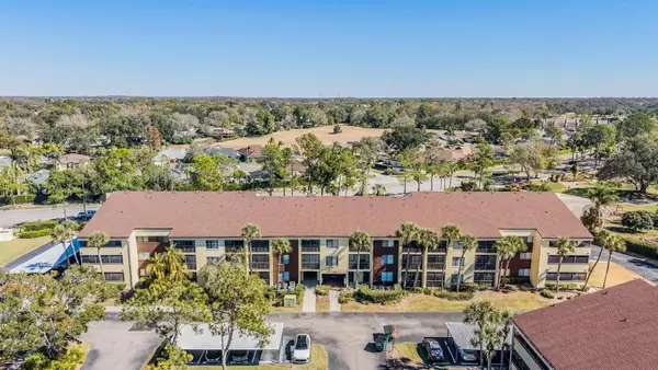 13602 S Village Drive #1204, TAMPA, FL 33618