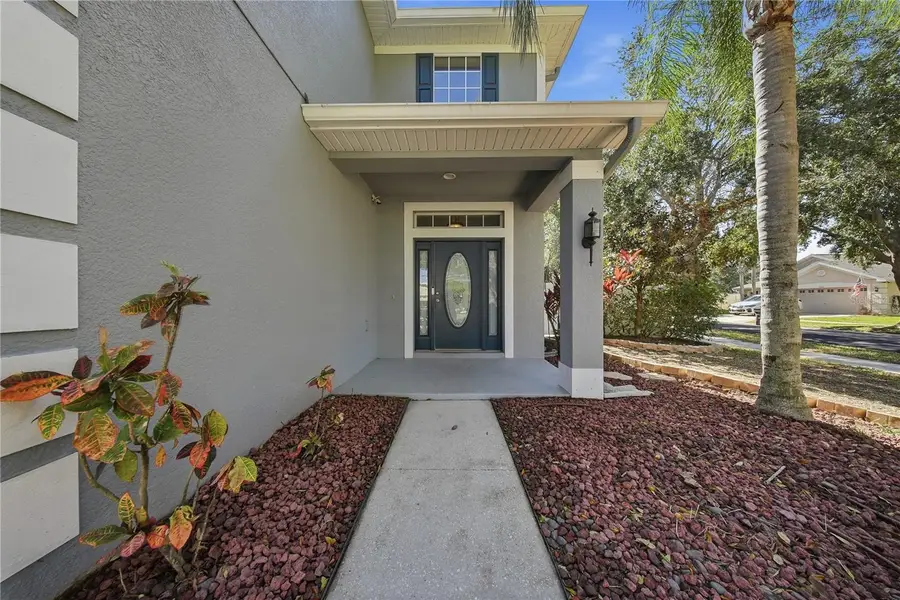 11101 Irish Moss Avenue, Riverview, FL 33569 - Image #3