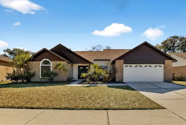 4207 Spring Way Circle, VALRICO, FL 33596