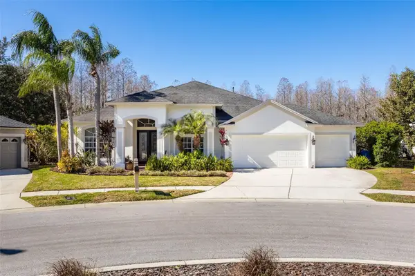 19817 Glazing Globe Lane, LUTZ, FL 33558