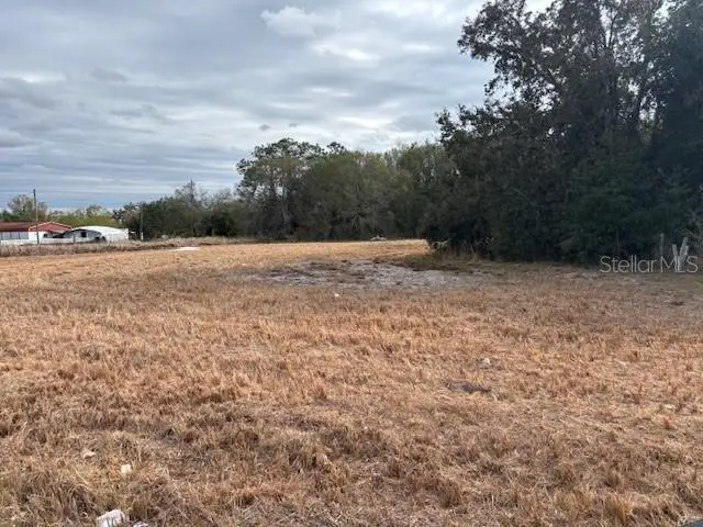 10611 Sumner Road, Wimauma, FL 33598 - Image #3