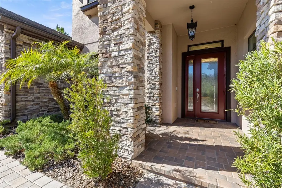 3839 San Vito Drive, Wesley Chapel, FL 33543 - Image #3