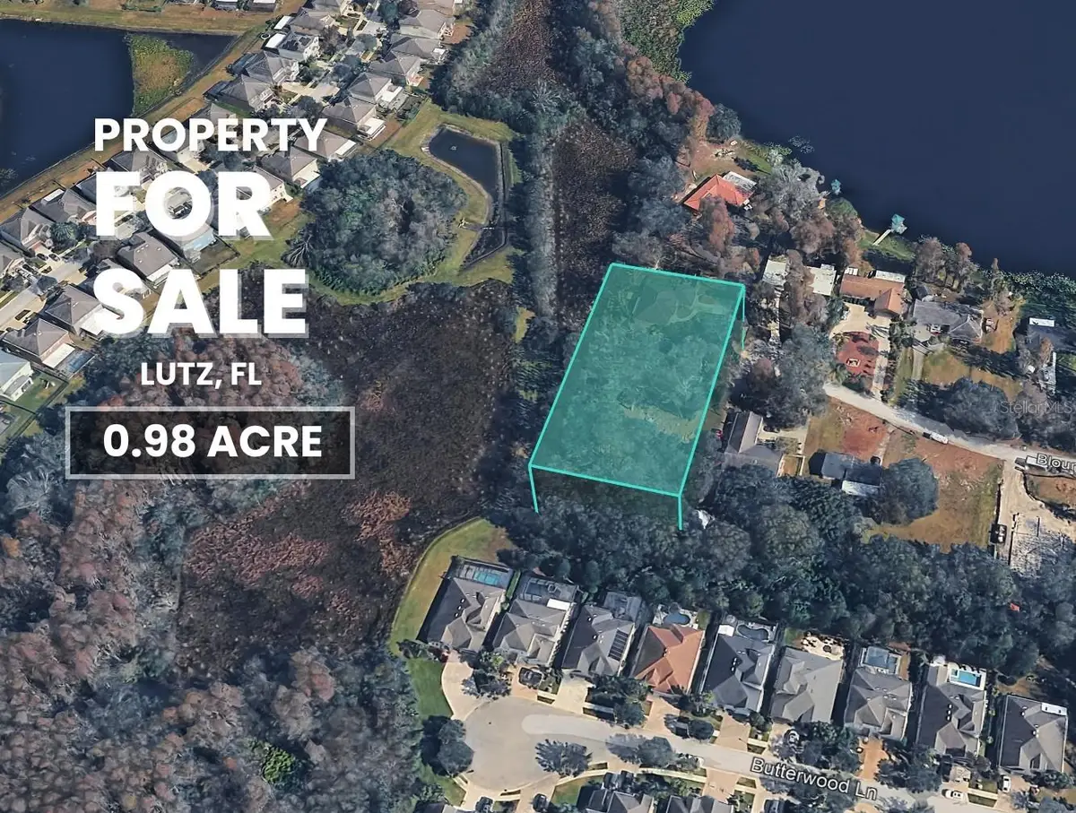 Blount Road, Lutz, FL 33558 - #1