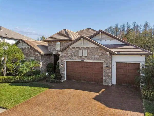 29118 Picana Lane, WESLEY CHAPEL, FL 33543