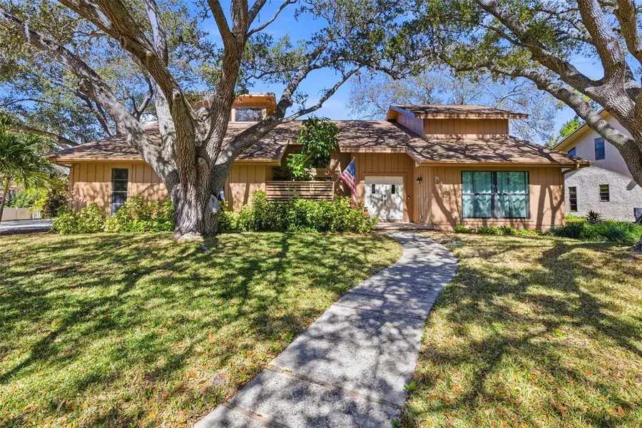 847 Hillside Drive, Palm Harbor, FL 34683 - Image #3