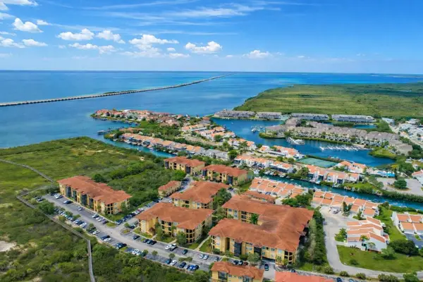 4323 Bayside Village Drive #219, TAMPA, FL 33615