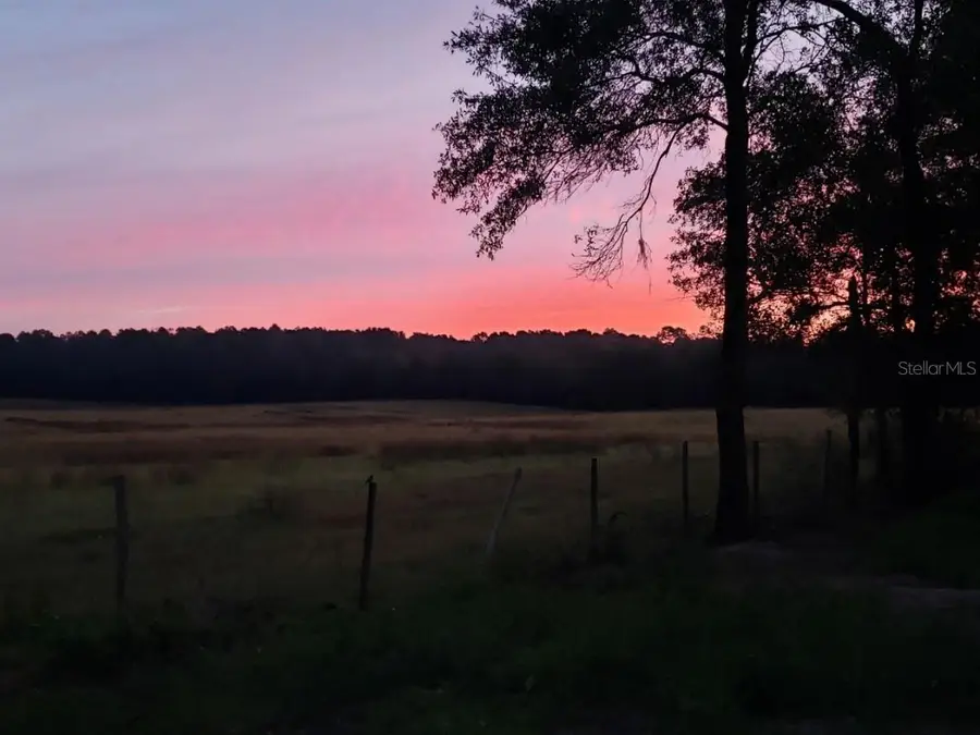 Chilla, Dunnellon, FL 34431 - #2