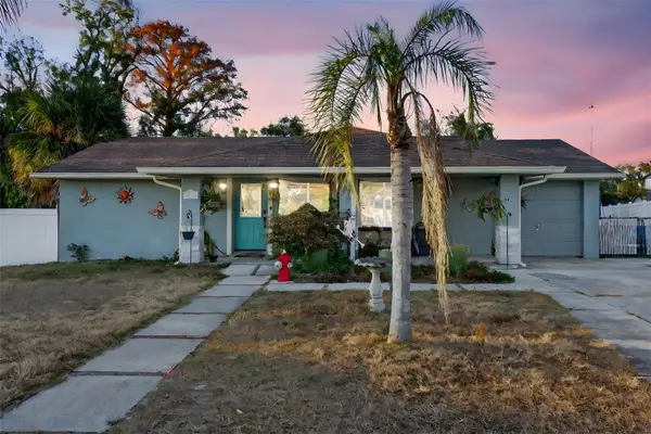 6724 Amundson Street, TAMPA, FL 33634