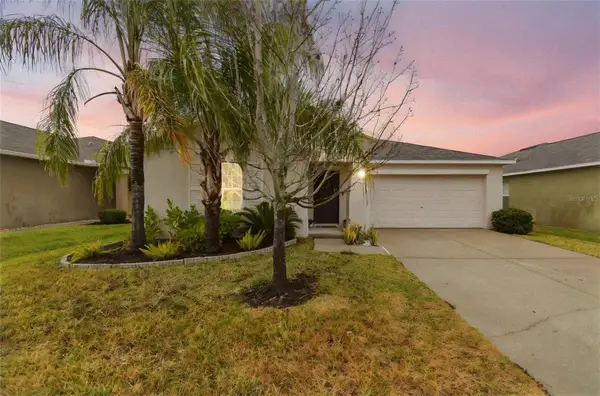4904 Babbling Brook Lane, WIMAUMA, FL 33598