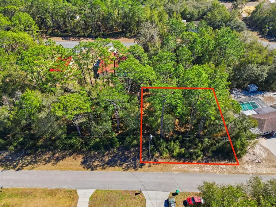 2780 W Elgin Place, Citrus Springs, FL 34434 - #3