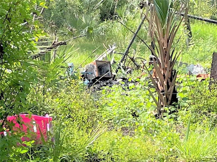 1823 Inspiration Court, Lehigh Acres, FL 33972 - #2