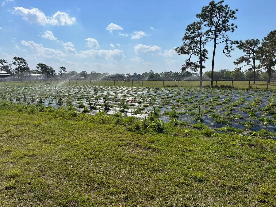 4625 241st Street E, Myakka City, FL 34251 - #3