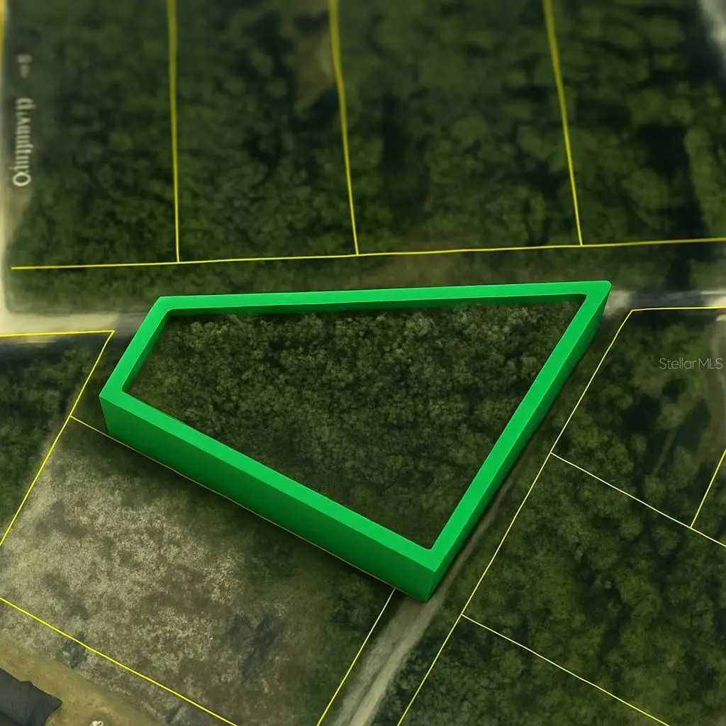 Coral Rock Drive, Webster, FL 33597 - #1