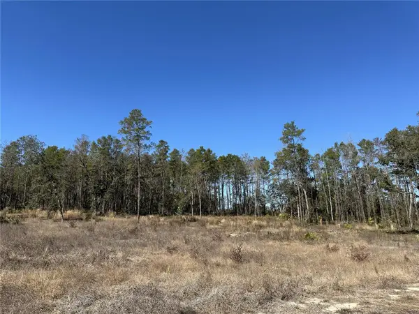 13331 Haven Trail, WEEKI WACHEE, FL 34614