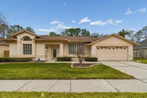 9309 Rockrose Drive, TAMPA, FL 33647