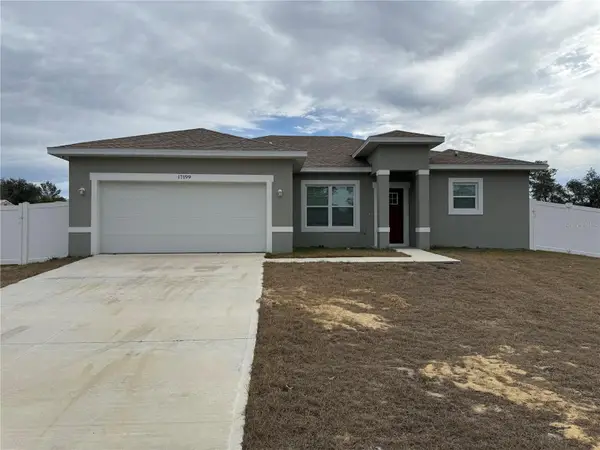 17199 SW 43rd Court, OCALA, FL 34473