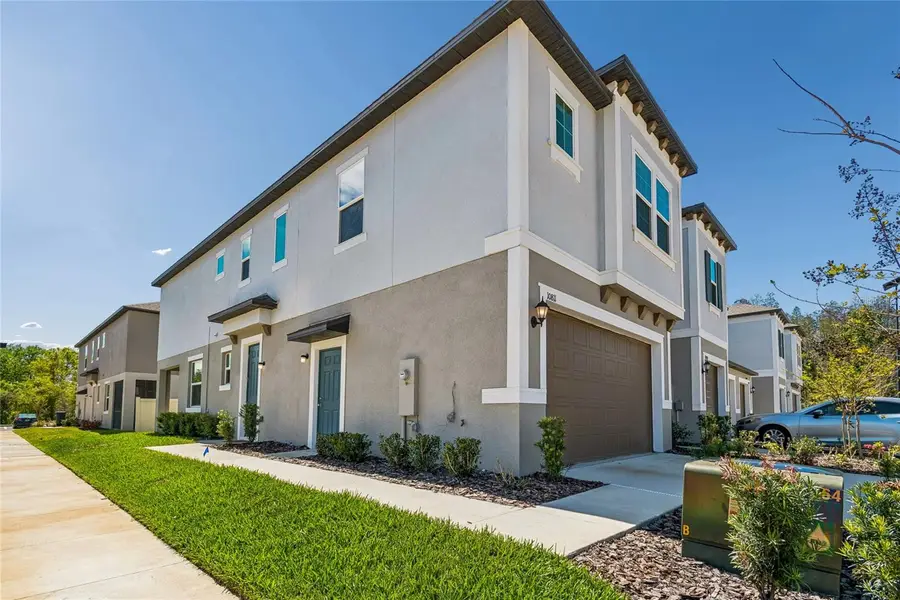 10811 Fowlers Bluff Court, Tampa, FL 33647 - #2