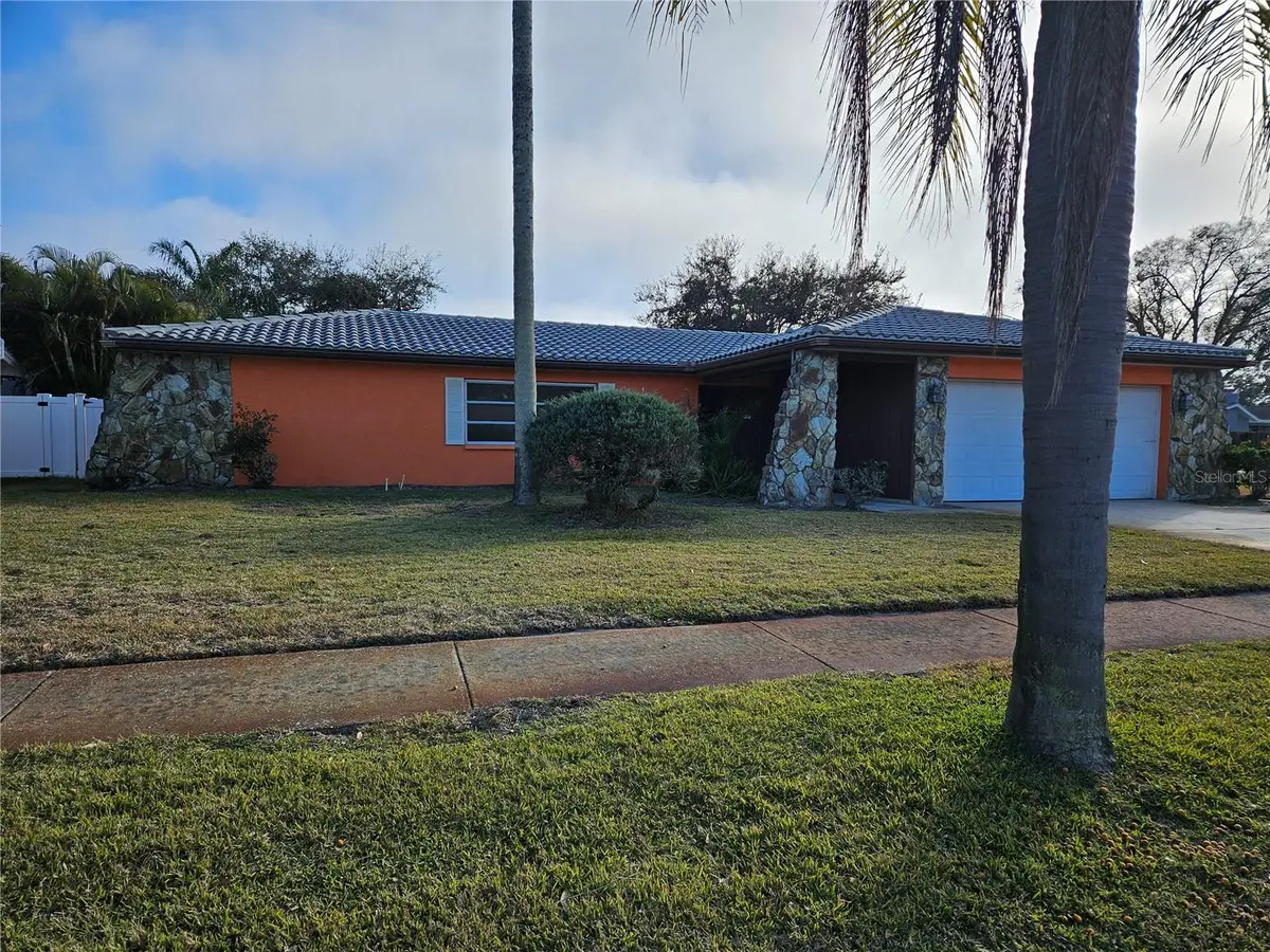 10 Tern Place, Palm Harbor, FL 34683 - #1