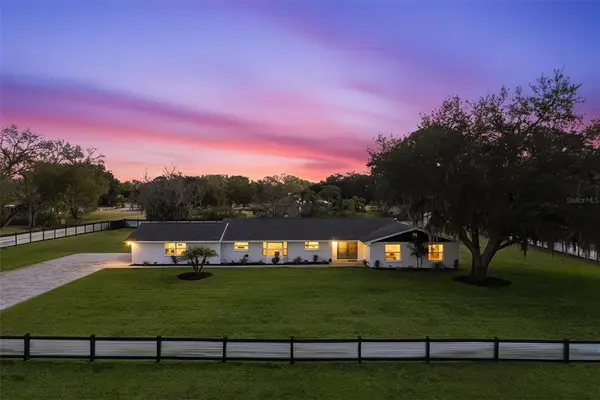 2338 Meadowbrook Drive, LUTZ, FL 33558