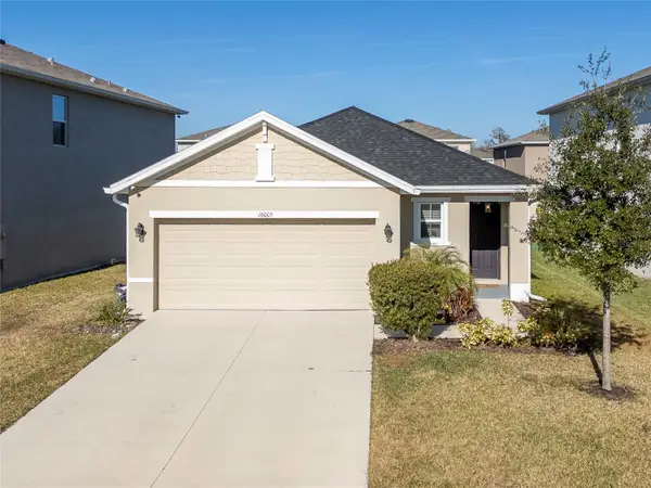 16005 Tuscany Hillside Road, ODESSA, FL 33556