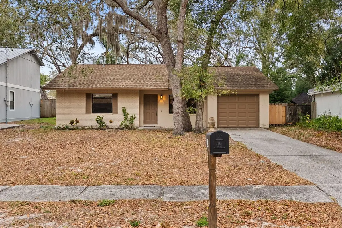 723 Pent Street, Tarpon Springs, FL 34689 - #1