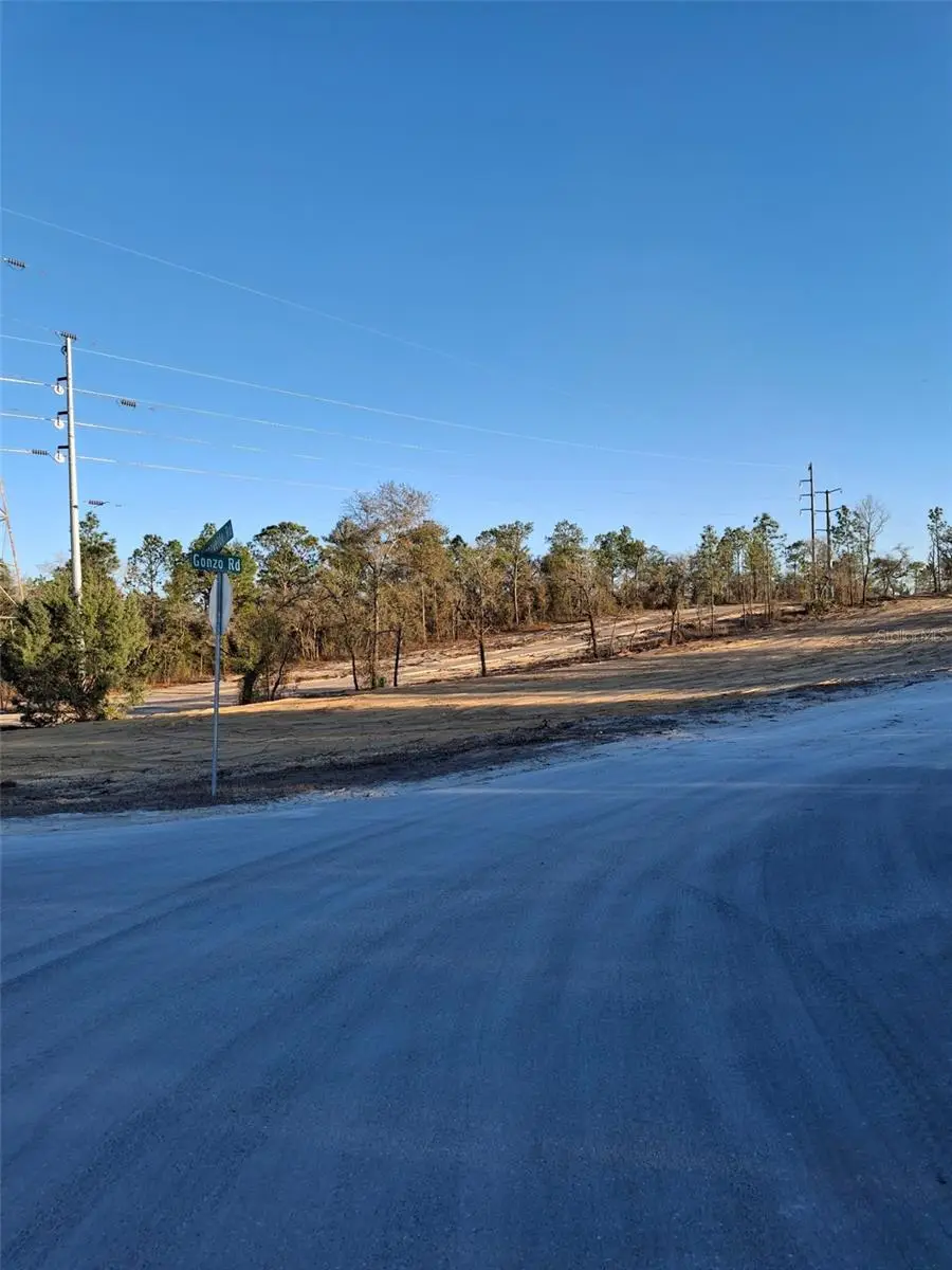 LOT 1 Barnevelde Road, Weeki Wachee, FL 34614 - #3