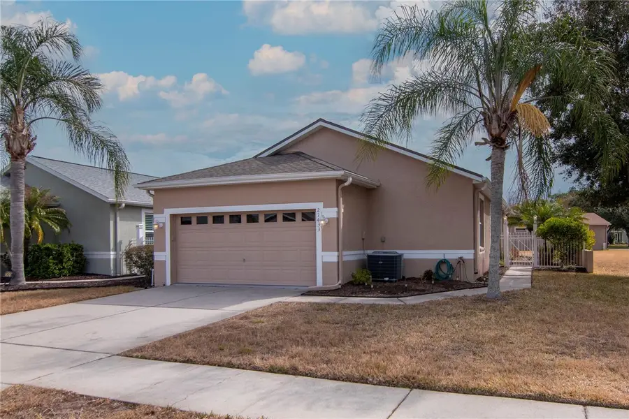 21433 Diamonte Drive, Land O Lakes, FL 34637 - #2