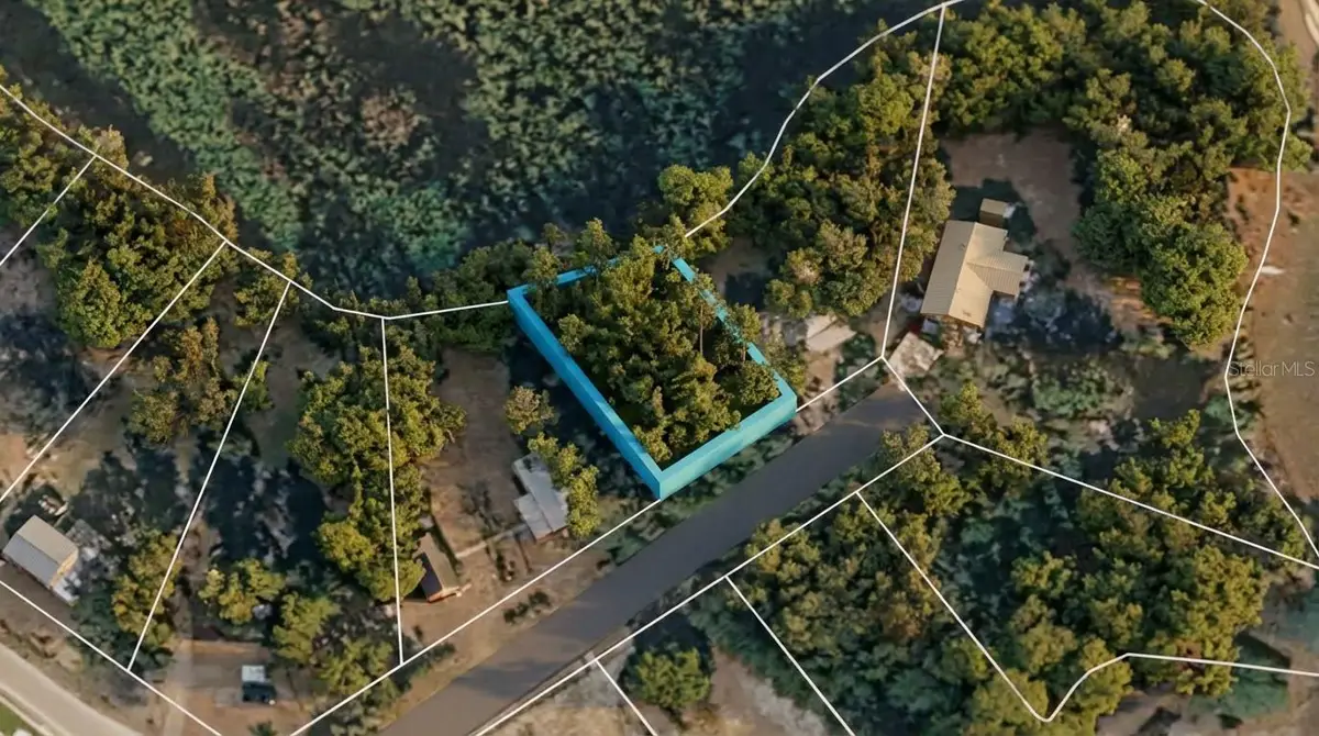 Morning View Drive, Paisley, FL 32767 - #1