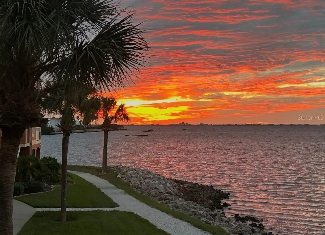 5000 Culbreath Key Way #9-112, Tampa, FL 33611 - #1